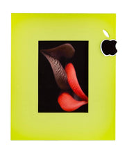 Load image into Gallery viewer,  - Wood
